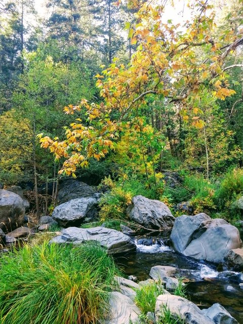 imagination has no limits